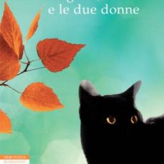 “LA GATTA, SHOZO E LE DUE DONNE” DI JUN’ICHIRO TANIZAKI  