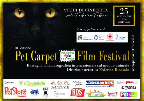 pet carpet film festival