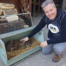 RISPETTO PER TUTTI GLI ANIMALI.  INCONTRO CON GIANCARLO DE SALVO PRESIDENTE DI O.R.A.  