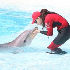 SI CHIAMA LUNA LA NEONATA DI DELFINO DELLO ZOOMARINE DI TORVAIANICA 