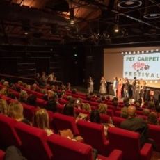 SE AVETE UN ANIMALE, DEDICATEGLI UN CORTO E PARTECIPATE AL NUOVO PET CARPET FESTIVAL 