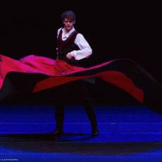 L'AFFASCINANTE STORIA DELLA DANZA