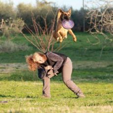 A ZOOMARINE ARRIVANO I CAMPIONI DI DISC DOG  