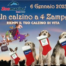 “UN CALZINO A 4 ZAMPE”. A ZOOMARINE LA BEFANA REGALA DOLCI AI BAMBINI 