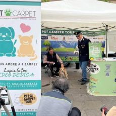 PET CAMPER TOUR FA TAPPA NEL LAZIO.  