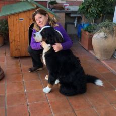 TERESA BOSSÙ AL SUO SECONDO MANDATO ALLA PRESIDENZA ORDINE DEI MEDICI VETERINARI DI ROMA 