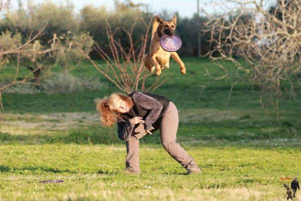 zoomarine disco dog