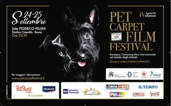 pet carpet film festival