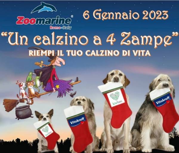 CALZINO 4 ZAMPE